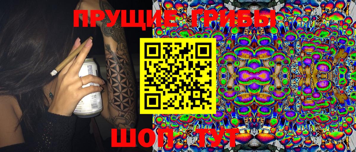 Баксан  Псилоцибиновые грибы MAGIC MUSHROOMS  купить наркотики сайты  Вход с VPN 