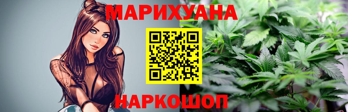 Каннабис планчик Баксан
